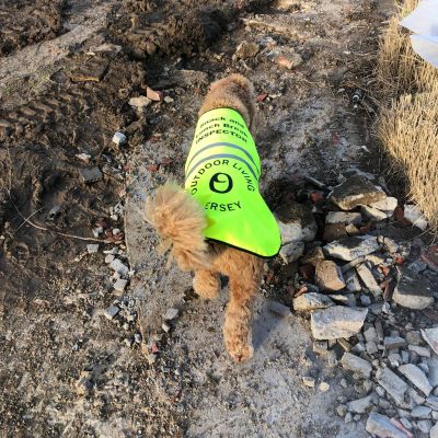 WhatsApp Image 2026-02-23 at 22.07.48 (7)